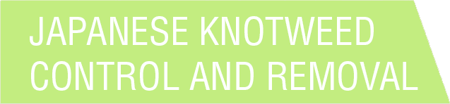 japanese knotweed control and removal banner - cyb - london cardiff & bristol